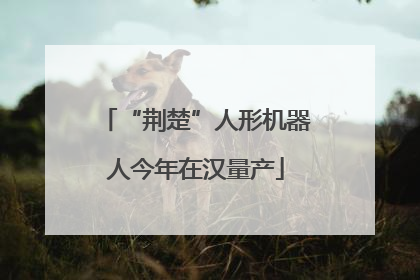 “荆楚”人形机器人今年在汉量产