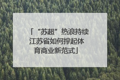 “苏超”热浪持续 江苏省如何撑起体育商业新范式