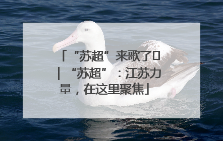 “苏超”来歌了⑪｜“苏超”：江苏力量，在这里聚焦