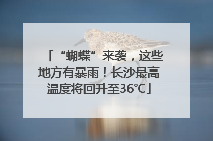 “蝴蝶”来袭，这些地方有暴雨！长沙最高温度将回升至36℃