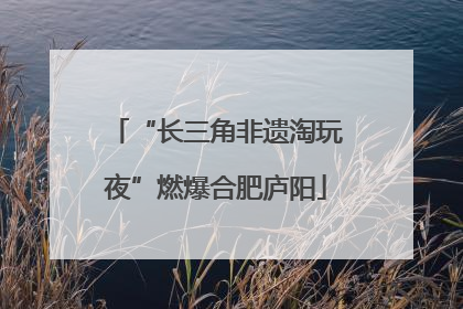“长三角非遗淘玩夜”燃爆合肥庐阳