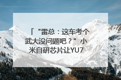 “雷总：这车考个武大没问题吧？”小米自研芯片让YU7会学习｜汽车科技