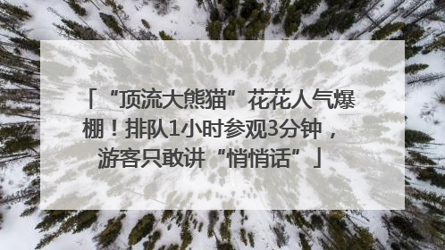 “顶流大熊猫”花花人气爆棚！排队1小时参观3分钟，游客只敢讲“悄悄话”