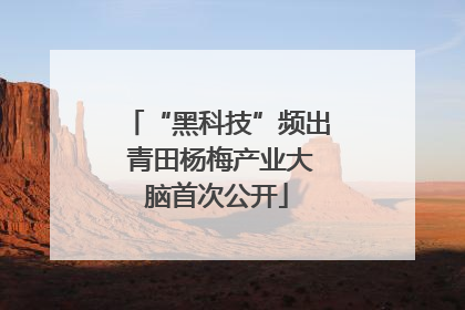 “黑科技”频出 青田杨梅产业大脑首次公开