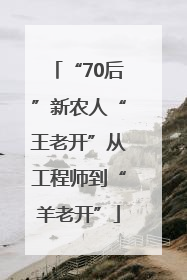 “70后”新农人“王老开”从工程师到“羊老开”