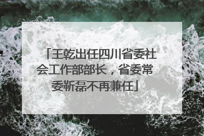 王乾出任四川省委社会工作部部长，省委常委靳磊不再兼任