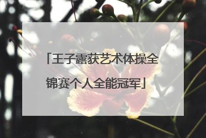 王子露获艺术体操全锦赛个人全能冠军