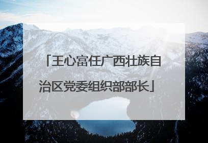 王心富任广西壮族自治区党委组织部部长