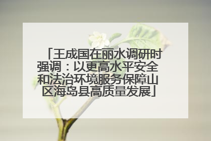 王成国在丽水调研时强调：以更高水平安全和法治环境服务保障山区海岛县高质量发展