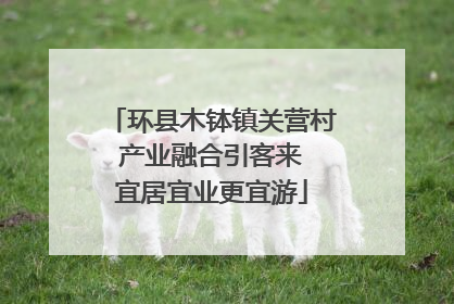 环县木钵镇关营村 产业融合引客来 宜居宜业更宜游