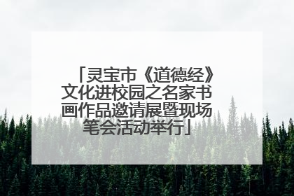 灵宝市《道德经》文化进校园之名家书画作品邀请展暨现场笔会活动举行