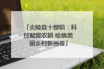 炎陵县十都镇：科技赋能农耕 绘就美丽乡村新画卷