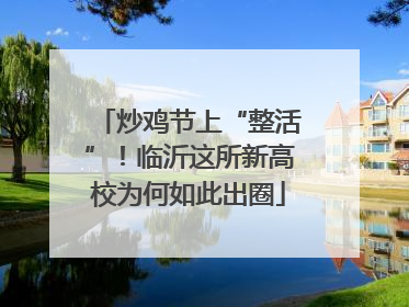 炒鸡节上“整活”！临沂这所新高校为何如此出圈