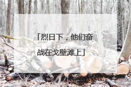烈日下，他们奋战在戈壁滩上
