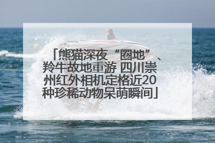 熊猫深夜“圈地”、羚牛故地重游 四川崇州红外相机定格近20种珍稀动物呆萌瞬间