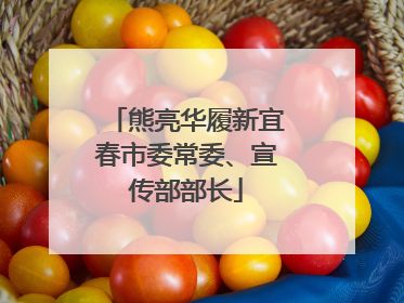熊亮华履新宜春市委常委、宣传部部长