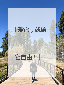 爱它，就给它自由！