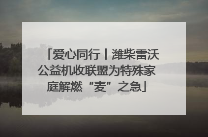 爱心同行丨潍柴雷沃公益机收联盟为特殊家庭解燃“麦”之急
