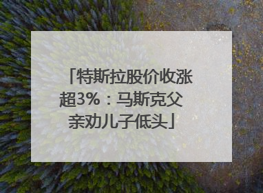 特斯拉股价收涨超3%：马斯克父亲劝儿子低头