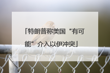 特朗普称美国“有可能”介入以伊冲突