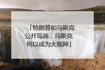 特朗普和马斯克公开骂战，马斯克何以成为大冤种