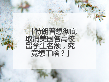 特朗普想彻底取消美国各高校留学生名额，究竟想干啥？