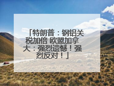 特朗普：钢铝关税加倍 欧盟加拿大：强烈遗憾！强烈反对！