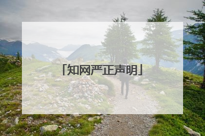 知网严正声明