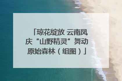琼花绽放 云南凤庆“山野精灵”舞动原始森林（组图）