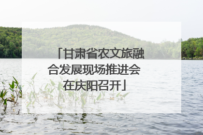 甘肃省农文旅融合发展现场推进会在庆阳召开