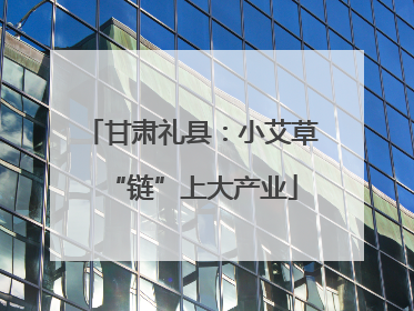 甘肃礼县：小艾草“链”上大产业