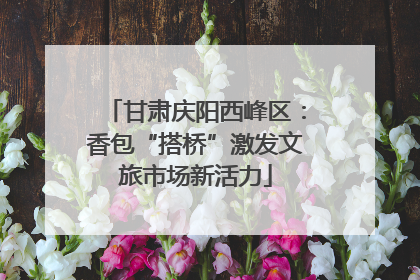 甘肃庆阳西峰区：香包“搭桥”激发文旅市场新活力