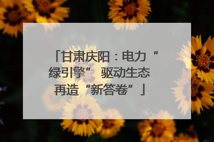 甘肃庆阳：电力“绿引擎” 驱动生态再造“新答卷”