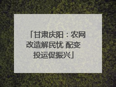 甘肃庆阳：农网改造解民忧 配变投运促振兴