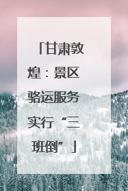 甘肃敦煌：景区骆运服务实行“三班倒”