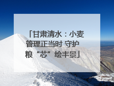 甘肃清水：小麦管理正当时 守护粮“芯”绘丰景