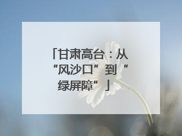 甘肃高台：从“风沙口”到“绿屏障”