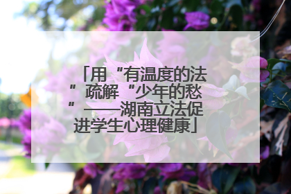用“有温度的法”疏解“少年的愁”——湖南立法促进学生心理健康
