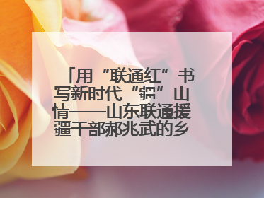 用“联通红”书写新时代“疆”山情——山东联通援疆干部郝兆武的乡村振兴答卷