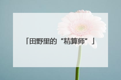 田野里的“精算师”