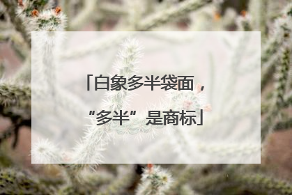 白象多半袋面，“多半”是商标