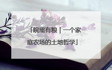 皖里有粮｜一个家庭农场的土地哲学