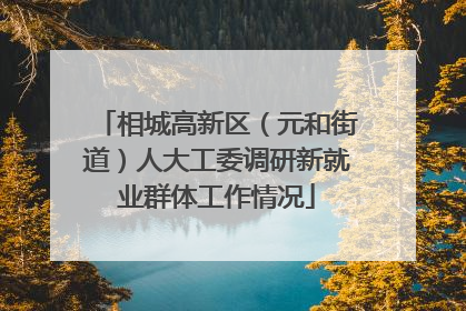 相城高新区（元和街道）人大工委调研新就业群体工作情况