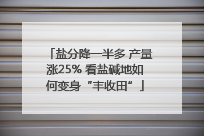 盐分降一半多 产量涨25% 看盐碱地如何变身“丰收田”