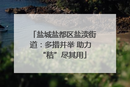 盐城盐都区盐渎街道：多措并举 助力“秸”尽其用