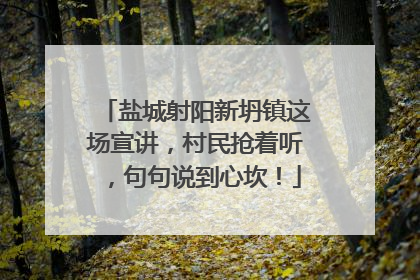 盐城射阳新坍镇这场宣讲，村民抢着听，句句说到心坎！