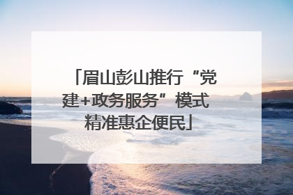 眉山彭山推行“党建+政务服务”模式 精准惠企便民