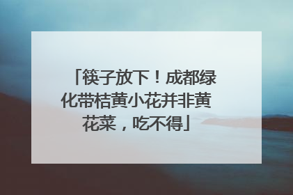筷子放下！成都绿化带桔黄小花并非黄花菜，吃不得