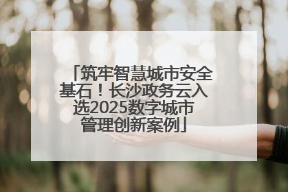 筑牢智慧城市安全基石！长沙政务云入选2025数字城市管理创新案例