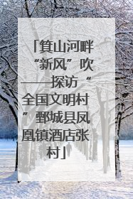 箕山河畔“新风”吹——探访“全国文明村”鄄城县凤凰镇酒店张村